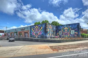 3630 N Davidson St, Charlotte, NC 28205 - Photo 45