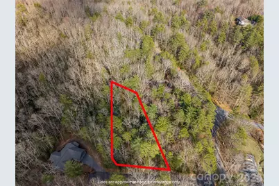 Tbd Tsvwagi Court #2/25, Brevard, NC 28712 - Photo 1