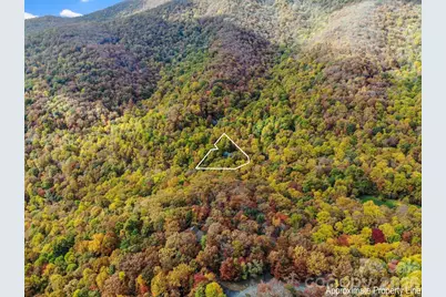 30 Laurel Branch Drive, Black Mountain, NC 28711 - Photo 3