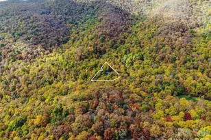 30 Laurel Branch Dr, Black Mountain, NC 28711 - Photo 3