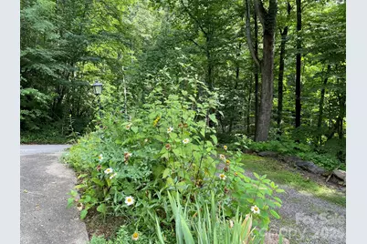 30 Laurel Branch Drive, Black Mountain, NC 28711 - Photo 47