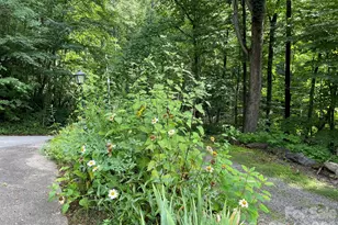30 Laurel Branch Dr, Black Mountain, NC 28711 - Photo 47