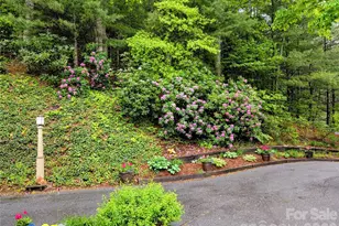 204 Briarcliff None, Asheville, NC 28804 - Photo 33