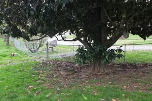 2927 Caney Creek Rd, Murphy, NC 28906 - Photo 33