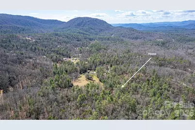 261 Maga Lane, Brevard, NC 28712 - Photo 31