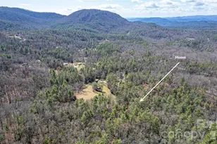 261 Maga Ln, Brevard, NC 28712 - Photo 31