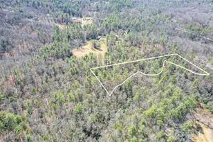 261 Maga Ln, Brevard, NC 28712 - Photo 29