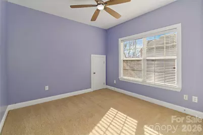 3908 Hazel Downe Way, Rock Hill, SC 29732 - Photo 19