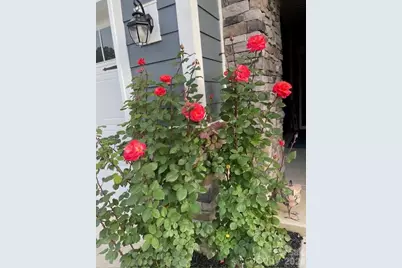 140 Picasso Trail, Mount Holly, NC 28120 - Photo 29