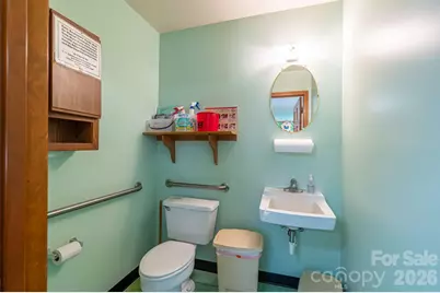 2482 June Bug Road, Vale, NC 28168 - Photo 23