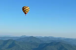 203 Pine St, Candler, NC 28715 - Photo 45