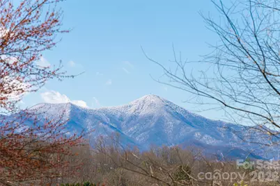 203 Pine Street, Candler, NC 28715 - Photo 31