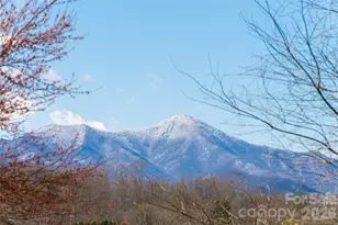 203 Pine St, Candler, NC 28715 - Photo 31