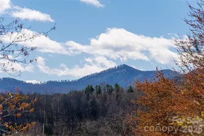 203 Pine Street, Candler, NC 28715 - Photo 37