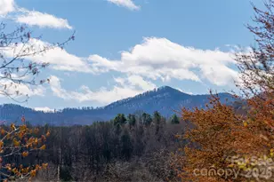 203 Pine St, Candler, NC 28715 - Photo 37