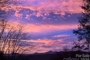 203 Pine St, Candler, NC 28715 - Photo 43