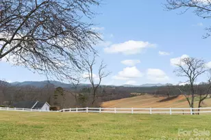 727 Jenkins Valley Rd, Alexander, NC 28701 - Photo 43