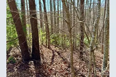 Lot 42, Round Mountain Parkway #42, Lenoir, NC 28645 - Photo 3