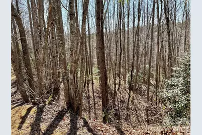 Lot 42, Round Mountain Parkway #42, Lenoir, NC 28645 - Photo 5
