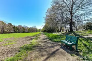 8817 Gelligum Dr, Charlotte, NC 28277 - Photo 25