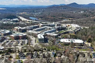 224 Leucothoe Ln, Asheville, NC 28803 - Photo 29