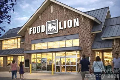 Lot 36 Elizabeth Drive, China Grove, NC 28023 - Photo 31