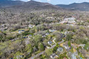 54 Broadway Ave, Tryon, NC 28782 - Photo 41