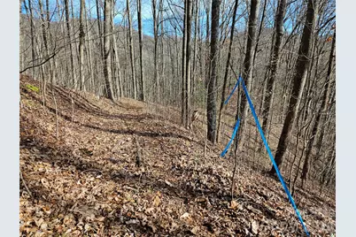 262 Si Knob Road, Cullowhee, NC 28723 - Photo 11