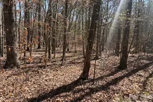 7340 Paul Linker Pl, Concord, NC 28025 - Photo 1