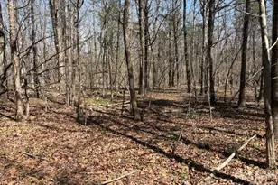 7340 Paul Linker Pl, Concord, NC 28025 - Photo 3