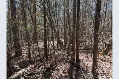 7340 Paul Linker Place, Concord, NC 28025 - Photo 11