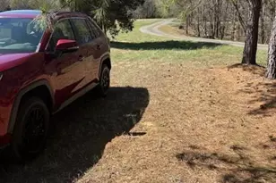 7350 Paul Linker Pl, Concord, NC 28025 - Photo 9