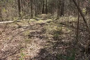 7350 Paul Linker Pl, Concord, NC 28025 - Photo 3