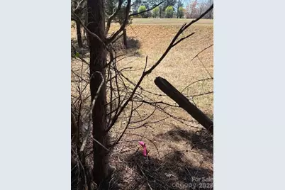 7350 Paul Linker Place, Concord, NC 28025 - Photo 5