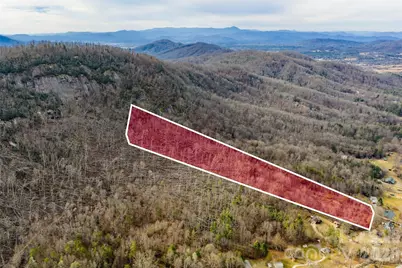 99999 Brush Creek Circle, Fairview, NC 28730 - Photo 3