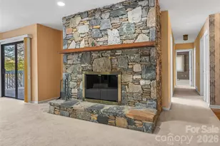 101 Sali Ct, Brevard, NC 28712 - Photo 15