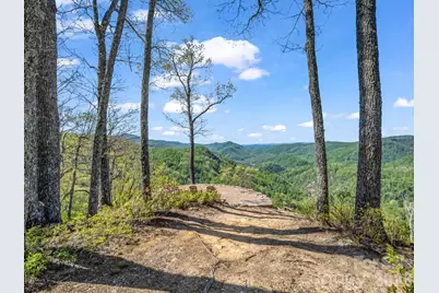 200 Granite Bridge Court, Black Mountain, NC 28711 - Photo 47