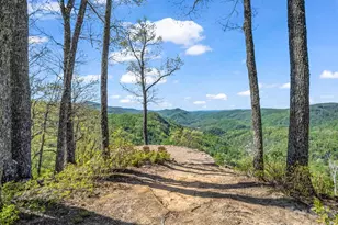 200 Granite Bridge Ct, Black Mountain, NC 28711 - Photo 47