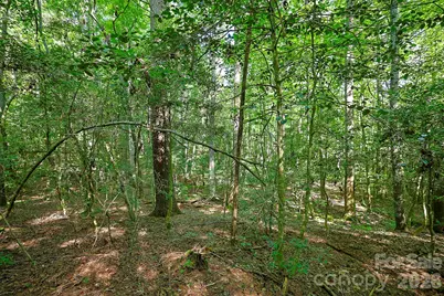 0 Thelma Lane, Hudson, NC 28638 - Photo 11