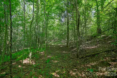 0 Thelma Lane, Hudson, NC 28638 - Photo 9