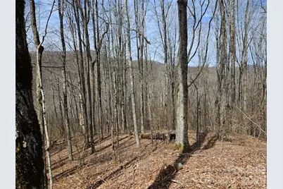 000 Forbidden Cove, Waynesville, NC 28785 - Photo 13