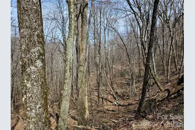 000 Forbidden Cove, Waynesville, NC 28785 - Photo 5