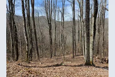 000 Forbidden Cove, Waynesville, NC 28785 - Photo 1