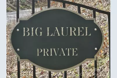 000 Forbidden Cove, Waynesville, NC 28785 - Photo 3