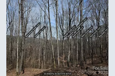 000 Forbidden Cove, Waynesville, NC 28785 - Photo 17