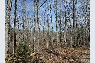 000 Forbidden Cove, Waynesville, NC 28785 - Photo 9