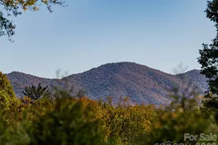 352 Justice Ridge Rd, Candler, NC 28715 - Photo 45