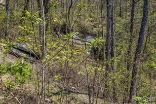 1424 Wolf Pen Rd, Old Fort, NC 28762 - Photo 39