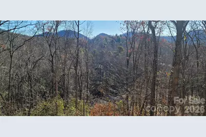 11 Starlight Drive, Black Mountain, NC 28711 - Photo 37