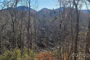 11 Starlight Dr, Black Mountain, NC 28711 - Photo 37